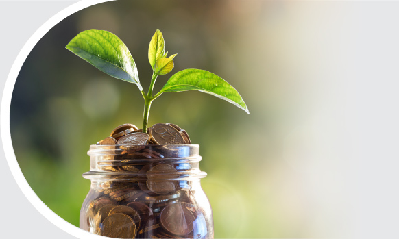 Jar of coin with green leaves